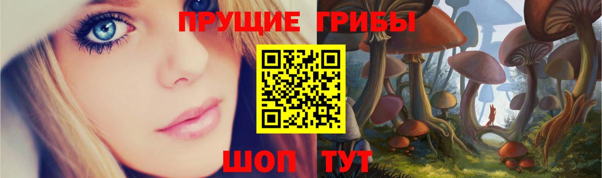 Азнакаево  Галлюциногенные грибы Psilocybine cubensis  Вход с VPN 
